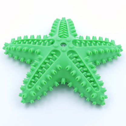 Sjöstjärna - Pipleksak med tandresande piggar