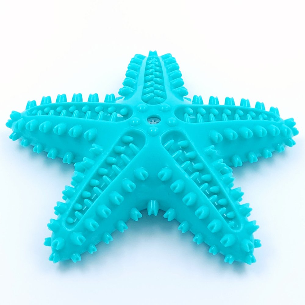 Sjöstjärna - Pipleksak med tandresande piggar