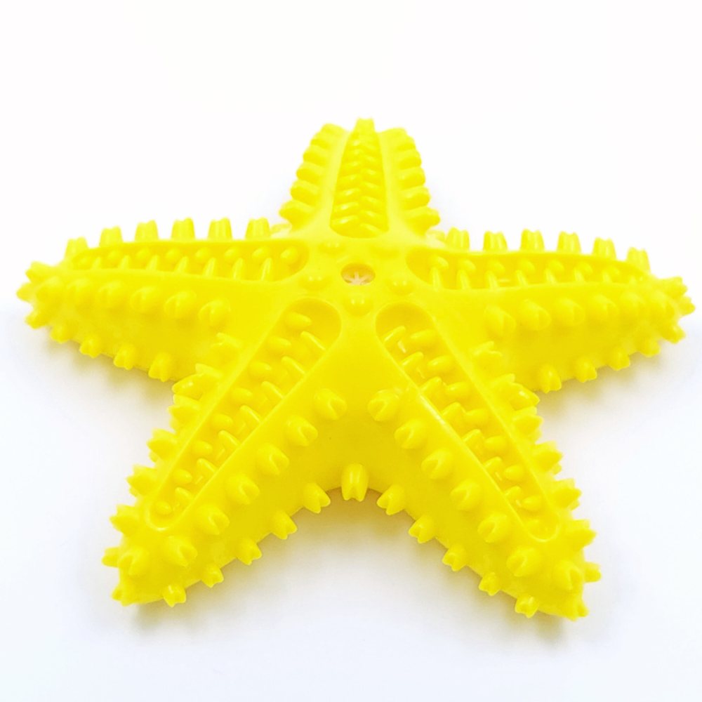 Sjöstjärna - Pipleksak med tandresande piggar